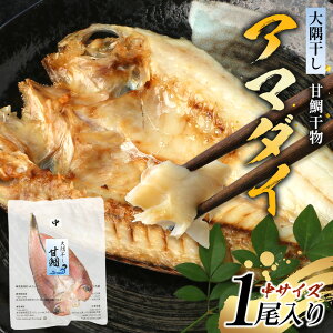 yӂ邳Ɣ[ŁzY A}_C  (TCY1) ፇv1m25Z`OnPT-6 | J  Ⓚ Y  Ñ Ђ CN VN uԗⓀ Yn Hi   