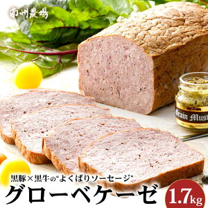 yӂ邳Ɣ[Łz O[xP[[i؁j1.7kg NS-6|   ؓ Ԃ  u^  O[xP[[ \[Z[W  ܂ Y ①   B_