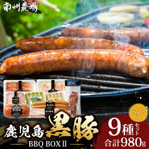yӂ邳Ɣ[ŁzY BBQ-BOX 2 n \[Z[W x[R lߍ킹 Zbg NS-25 |   n {jA ECi[ \[X W[L[ ܂ o[xL[ Ă Y