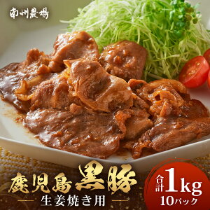 yӂ邳Ɣ[ŁzY ؐIĂZbg 100g×10pbN t Ⓚ NS-23 |   ܍   ؓ 傤Ă Ă t  ٓ H ^pbN 