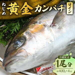 yӂ邳Ɣ[Łzywz ˂߉Jp` IׂI800g`1 |   ① {B   g܂ ς t hg i Ԃ ՂՂH 