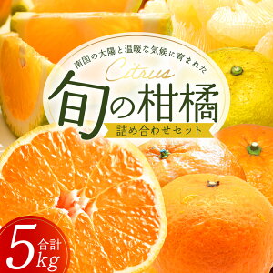 【ふるさと納税】【数量限定】おたのしみ!旬の柑橘詰め合わせセット(4種約5kg) NK-4|果物 柑橘 大将季 ぽんかん スイートスプリング 津之輝 麗江 サワーポメロ 南大隅町 産地直送 詰め合わ