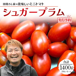 【ふるさと納税】田淵さんちの美味しい ミニトマト シュガープラム(約700g|約1,400g)|鹿児島県 南大隅 産地直送 旬 とまと トマト ミニトマト リコピン 完熟 甘い 高糖度 野菜 やさい 送料