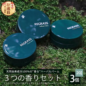 yӂ邳Ɣ[ŁzyΕzyVRR100%zn[oo[3̍Zbg 20g×3 BS-706-os e ϕi n[o o[ VR n[u A} P~Jt[ {fBPA tFC