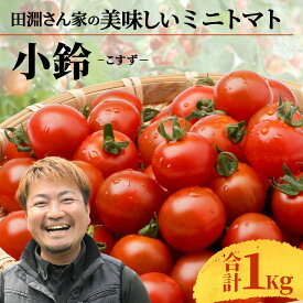【ふるさと納税】田淵さんちの美味しい ミニトマト 小鈴（約1kg|約2kg）｜野菜 トマト ミニトマト 産地直送 ミニトマト 新鮮 トマト 南大隅町産 ミニトマト おいしい ミニトマト