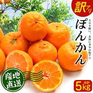 yӂ邳Ɣ[Łzy󂠂zss\t̑zтÂāE ۂ񂩂 5kgyʌz2026N1{ȍ~ ID-2󂠂 A ۂ񂩂 |J k J