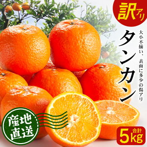 yӂ邳Ɣ[Łzy󂠂zss\t̑zтÂāE ^J 5kgyʌz2026N2{ȍ~ ID-3b󂠂 A 񂩂 ^J k JLc 