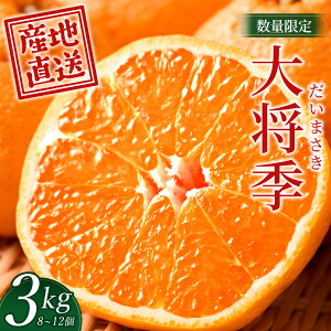 yӂ邳Ɣ[Łzʌys\E2025N12`zz叫G 3kg (8`12) NT-504b܂ k ݂ ʕ VN Yn ʌ s\ Y  