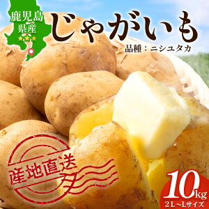 yӂ邳Ɣ[Łzys\zႪ n鏒 (oCV) 2L`L 10kg×1 /jV^J (30)  2026N320菇 CS-1bYn { WKC  |eg ΂ꂢ 