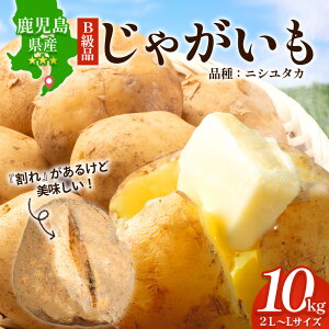 yӂ邳Ɣ[Łzys\zyBiz() Ⴊ n鏒 (oCV) 2L`L 10kg×1 /ijV^J (30) 2026N320菇 CS-2 | ƒp Y Yn