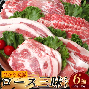 �y�ӂ邳�Ɣ[�Łz���������Y �Ђ��蔞�� ���[�X�O���Z�b�g6��� �i200g×6�p�b�N�j�v1.2kg �g���[�Ȃ� �Ⓚ HM-12 | ���� �� ���� �ɂ� �ؓ� ���[�X�� ���[�X �����[�X �^��Ⓚ �V�N ������ �Y�n