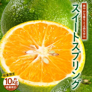 yӂ邳Ɣ[Łzys\zyʌzY XC[gXvO 5kgE10kg y2025N12{ȍ~z | k t[c Y ʕ ݂ Ԍ ʌ Yn