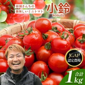 【ふるさと納税】田淵さんちの美味しい ミニトマト 小鈴（選べる内容量！約1kg・約2kg）｜野菜 トマト ミニトマト 産地直送 ミニトマト 新鮮 トマト 南大隅町産 ミニトマト おいしい ミニトマト