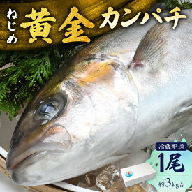 【ふるさと納税】【着日指定可】2026年7月～9月配送不可 鹿児島県 ねじめ黄金カンパチ 1尾 約3.0kg台 (3.0～3.9kg) JF-501 | 魚 直送 養殖 根占 さかな かんぱち 漁師 刺身 寿司 鹿児島県 南大隅町 漁業協同組合ねじめ支所