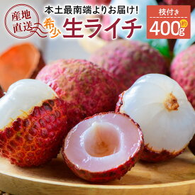 【ふるさと納税】【2027年先行予約】本土最南端よりお届け！希少生ライチ（約400g）TE-1｜鹿児島県 南大隅町