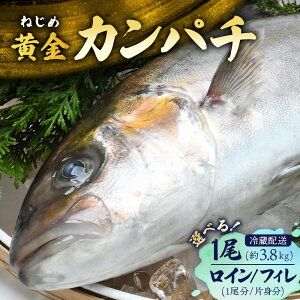 yӂ邳Ɣ[ŁzeʂIׂ Jp` 1 3.6`4.0kg/C 1 or Аg/tB 1 or Аg zw\