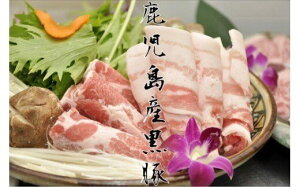 yӂ邳Ɣ[Łz Yɏ㍕،I(1.5kg)   ؓ |[N [X [X o oGeB Zbg lߍ킹 Ԃ ē IĂ Mtg yYƊ