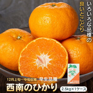 yӂ邳Ɣ[Łzs\tI2025N12nł揇\聄̕tŶЂ(2.5kg×1P[X)  Y  ~J k 񂫂 t[c ʕ Mtg Ε