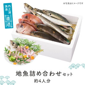 楽天市場 お魚 詰め合わせの通販 楽天市場 お魚 詰め合わせの通販