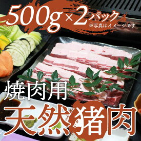 【ふるさと納税】天然イノシシ肉！焼肉・鉄板焼き用(500g×2P・計1kg) 鹿児島 国産 猪肉 いのしし肉 ジビエ ジビエ肉 ぼたん 牡丹 お取り寄せ ギフト 贈答【きらく】