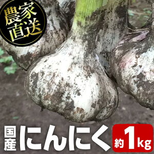 yӂ邳Ɣ[Łz_ƒ Y ɂɂ(1kg)  Y ɂɂ jjN f  K[bN  yI_z
