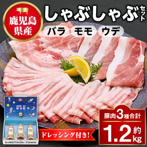 yӂ邳Ɣ[ŁzY؃o  Ef ԂԃZbg(v1.2kg) hbVOt  ؓ |[N o Ef  Ԃ IĂ ē oGeB Zbg Ӗ S