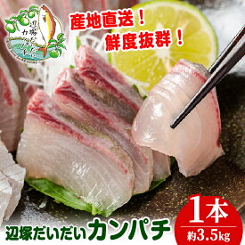 【ふるさと納税】産地直送！辺塚だいだいカンパチ(約3.5kg・1本) 鹿児島 国産 九州産 産地直送 カンパチ 勘八 魚 魚介 鮮魚 活魚 刺身 刺し身 さしみ 焼魚 焼き魚 煮魚 フライ 1匹 辺塚だいだい 地魚 カルパッチョ しゃぶしゃぶ 海産物 冷蔵 【高山漁業協同組合】