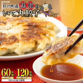 【ふるさと納税】＜お届け回数が選べる！＞鹿児島県 肝付町産 黒豚 餃子 ギョーザ ＜1パック 12個入り＞ (計60個 or 計120個) ≪ パリッ と もっちり で ジューシー ≫ ぎょうざ たれ付き パリパリ もちもち ジューシー おかず 冷凍 豚肉 国産 定期便 全3回 連続月 【財宝】