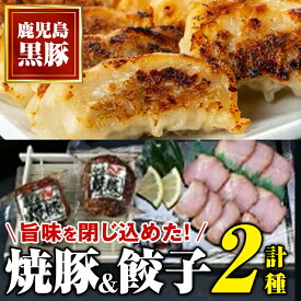 【ふるさと納税】黒豚焼豚(2個)＆黒豚餃子(12個×5P)セット！ 鹿児島 国産 九州産 黒豚 豚肉 お肉 餃子 ギョーザ ぎょうざ 角煮 焼豚 叉焼 チャーシュー おかず 惣菜【和田養豚】