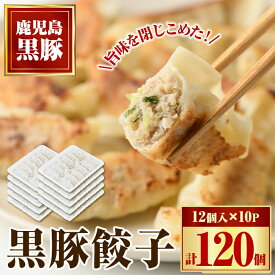 【ふるさと納税】黒豚餃子セット(12個入×10パック) 鹿児島 国産 九州産 自家農場 黒豚 黒ぶた 豚肉 冷凍 餃子 ギョーザ ぎょうざ おかず 惣菜【和田養豚】