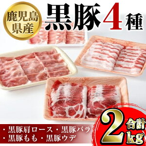yӂ邳Ɣ[Łz Y4([XEoEEEf)(v2kg)   ؓ |[N [X o  Ef oGeB Zbg lߍ킹 Ԃ Ă I
