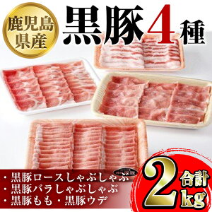 yӂ邳Ɣ[ŁzY4([XEoEEEf)(v2kg)  ؓ |[N [X o  Ef oGeB Zbg lߍ킹 Ԃ Mtg yY