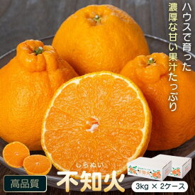 【ふるさと納税】＜先行予約受付中！2026年2月より収穫ができ次第順次発送予定＞肝付町産不知火(しらぬい)(計6kg・3kg×2ケース) 国産 フルーツ 果物 柑橘 みかん デコポン しらぬい 不和火 【JA鹿児島きもつき高山支所】