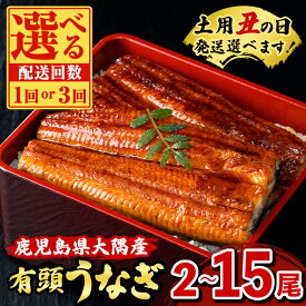 【ふるさと納税】＜土用丑の日発送も選べる！＞うなぎ蒲焼・大(有頭)( 2尾 〜 15尾 )(タレ・山椒付)鹿児島 国産 鰻 うなぎ ウナギ 蒲焼き うな丼 うな重 ひつまぶし 土用の丑の日 真空パック 贈答 ギフト 定期便 全3回 毎月発送 【一般社団法人きもつき宇宙協議会】