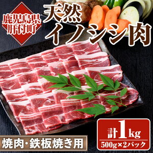 yӂ邳Ɣ[Łzs\tI2025N10ȍ~\聄VRCmVVIēESĂp(500g×2PEv1kg)  Y  ̂ WrG WrG ڂ O  Mt
