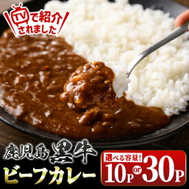 【ふるさと納税】＜容量が選べる！＞鹿児島黒牛ビーフカレー(160g×10P or 30P) 鹿児島 国産 黒牛 牛肉 カレー ビーフ レトルトカレー パック ご当地カレー おかず 惣菜 ギフト 贈答 常温保存 常温 【新村畜産】