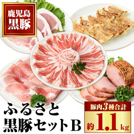 【ふるさと納税】 ふるさと黒豚セットB！ 黒豚バラ肉・肩ロース・モモスライス(計約1.1kg)、黒豚焼豚(約200g×2個)、黒豚餃子(12個入り×3P) 鹿児島 国産 九州産 黒豚 豚肉 お肉 しゃぶしゃぶ 焼豚 叉焼 チャーシュー 餃子 ぎょうざ ギョーザ 水餃子 ギフト【和田養豚】