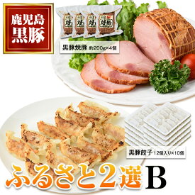 【ふるさと納税】ふるさと2選B 焼豚(約200g×4個・計約1kg)と餃子(12個入×10パック・計120個)のセット 鹿児島 国産 九州産 黒豚 豚肉 お肉 焼豚 餃子 冷凍 おかず ギフト 贈答 特別な日に【和田養豚】