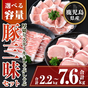 yӂ邳Ɣ[ŁzeʂIׂIY،؂Xe[L&ԂԎOZbg(v2.2kg ` 7.6kg) [X؂ [X ؃o Zbg  ؓ  ؂ Xe[L 