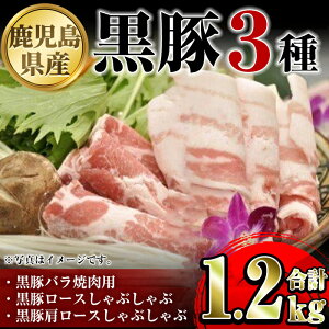 yӂ邳Ɣ[ŁzYɏ㍕،I(1.2kg)   ؓ |[N [X [X o oGeB Zbg lߍ킹 Ԃ ē IĂ Mtg  yYƊ