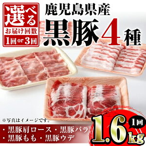 yӂ邳Ɣ[Łz͂񐔂IׂIY4([XEoEEEf)(v1.6kg ` 4.8kg)   ؓ |[N [X o  Ef oGeB Zbg l