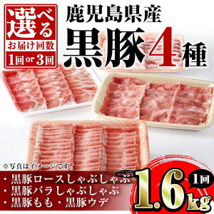 yӂ邳Ɣ[Łz͂񐔂IׂIY4([XEoEEEf)(v1.6kg ` 4.8kg)  ؓ |[N [X o  Ef XCX Hה oGeB Zb