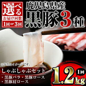 yӂ邳Ɣ[Łz͂񐔂IׂIY3 ԂԃZbg([XE[XEo)(v1.2kg`3.6kg)  ؓ |[N [X o  Ef oGeB Zbg