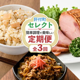 【ふるさと納税】＜定期便・全3回＞肝付町セレクト定期便《簡単調理 火を使わないで美味しいを楽しむ定期便》鹿児島県産 国産 牛肉 豚肉 牛丼 まぜごはんの素 焼豚 叉焼 時短 定期便 セレクト 冷凍 冷凍食品 【株式会社きもつき未来商社そらまち】