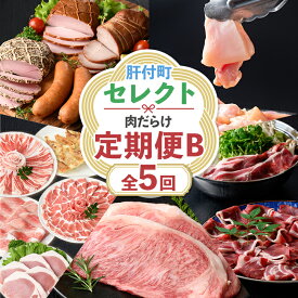 【ふるさと納税】＜定期便・全5回＞肝付町セレクト定期便《肉だらけ定期便B》 鹿児島 牛肉 黒毛和牛 豚肉 黒豚 鶏肉 唐揚げ 味付け 定期便 セレクト 加工品 肉加工品 簡単調理 冷凍 冷凍食品 【株式会社きもつき未来商社そらまち】