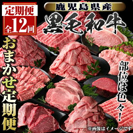 【ふるさと納税】＜定期便・全12回＞鹿児島県産黒毛和牛おまかせ定期便 鹿児島 牛肉 黒毛和牛 シャトーブリアン サーロインステーキ リブロース カルビ 焼肉 すき焼き 定期便【新村畜産】