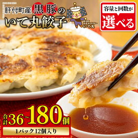 【ふるさと納税】鹿児島県 肝付町産 黒豚 餃子 ギョーザ ＜1パック 12個入り＞ (合計36個 ～ 合計180個) ぎょうざ たれ付き パリパリ もちもち ジューシー おかず お弁当 冷凍食品 時短 小分け 加工品 冷凍 定期便 豚肉 国産 【財宝】