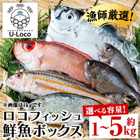 【ふるさと納税】＜容量が選べる！＞漁師厳選！ロコフィッシュ(地魚) 下処理済 鮮魚 ボックス(約1〜5kg)地魚 魚 1kg 2〜3kg 4〜5kg お魚 冷蔵 新鮮 加工品 未利用魚 低利用魚 焼き魚 焼魚 刺し身 刺身 煮魚 届くまでのお楽しみ 鮮魚セット 鮮魚ボックス 鮮魚BOX 【昌徳丸】