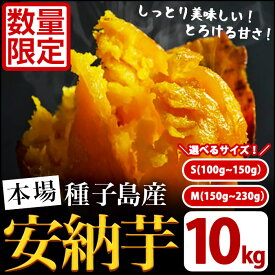 【ふるさと納税】数量限定！サイズが選べる！種子島産 安納芋(S～Mサイズ・10kg) 特産品 いも イモ 安納いも 野菜 芋類 スイーツ おやつ 本場 焼芋 焼き芋 生芋【JA種子屋久】