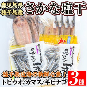 トビウオ その他の魚介類の人気商品 通販 価格比較 価格 Com